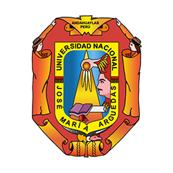 UNIVERSIDAD NACIONAL JOSÉ MARíA ARGUEDAS
